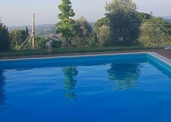 Piscina - Rustico strada Provinciale del Commercio, 129, Casciana Terme Lari - foto 32