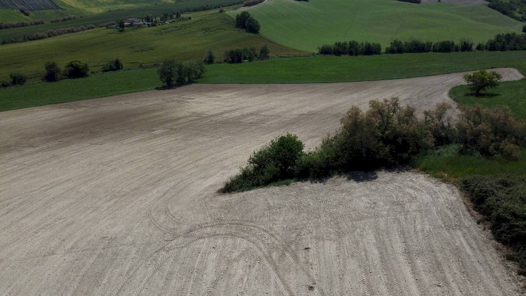Terreno - Rustico via Roma, Terre Roveresche - foto 2