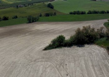 Terreno - Rustico via Roma, Terre Roveresche - foto 2
