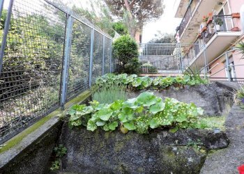 ESTERNO - Trilocale via Vittorio Battaglini 31, Genova (zona Sampierdarena) - foto 21