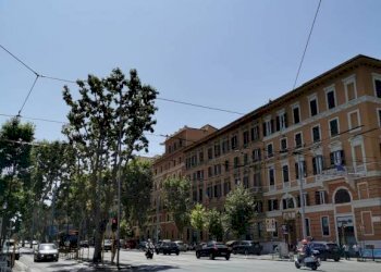 Zona - Shop viale Regina Margherita, Roma - photo 10