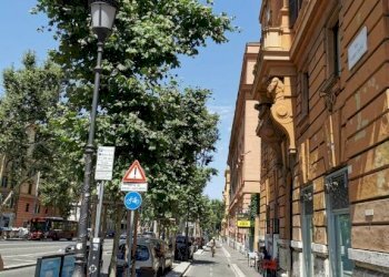 Zona - Shop viale Regina Margherita, Roma - photo 11