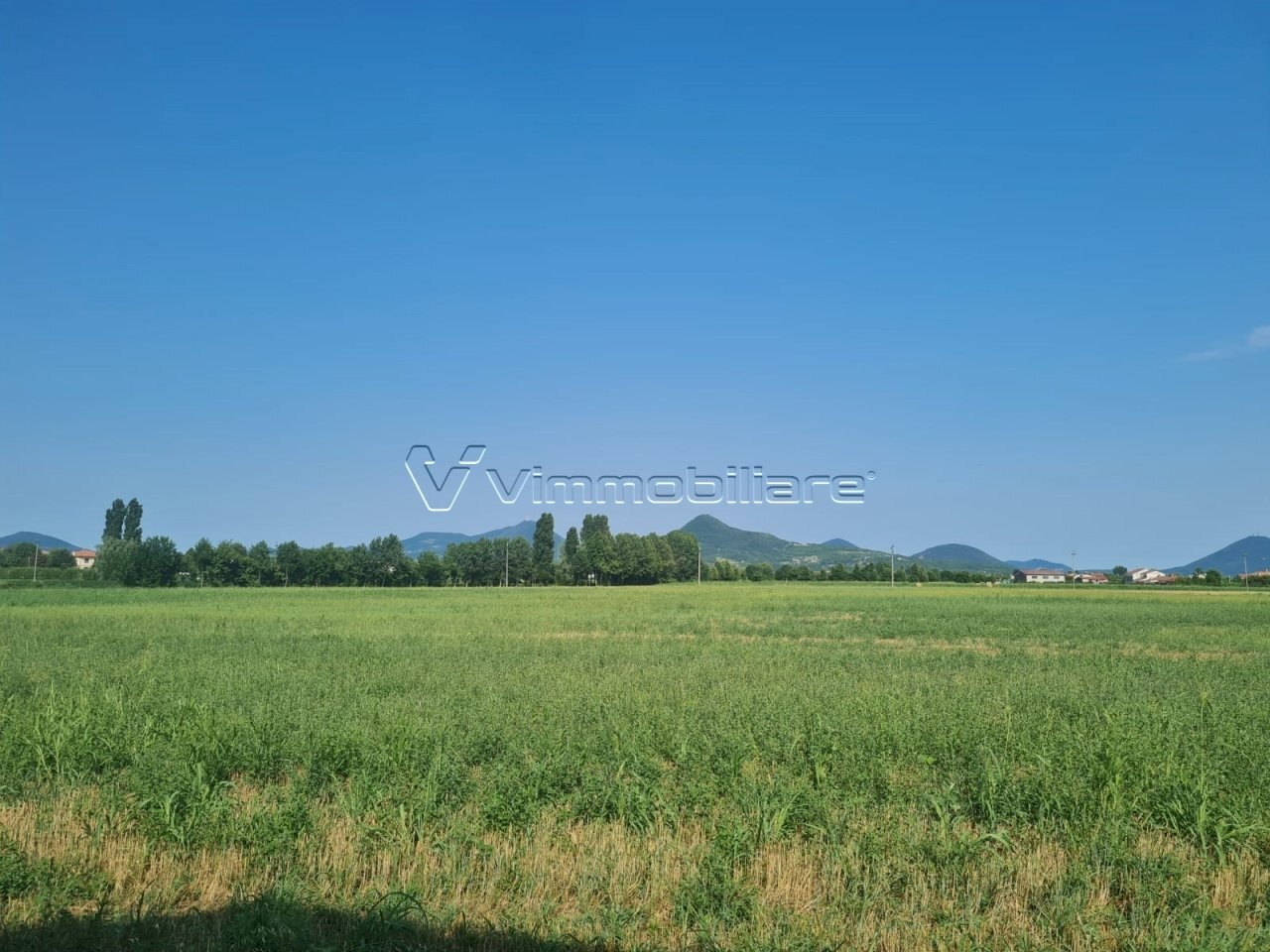 Terreno agricolo via saline, Noventa Vicentina - foto 1