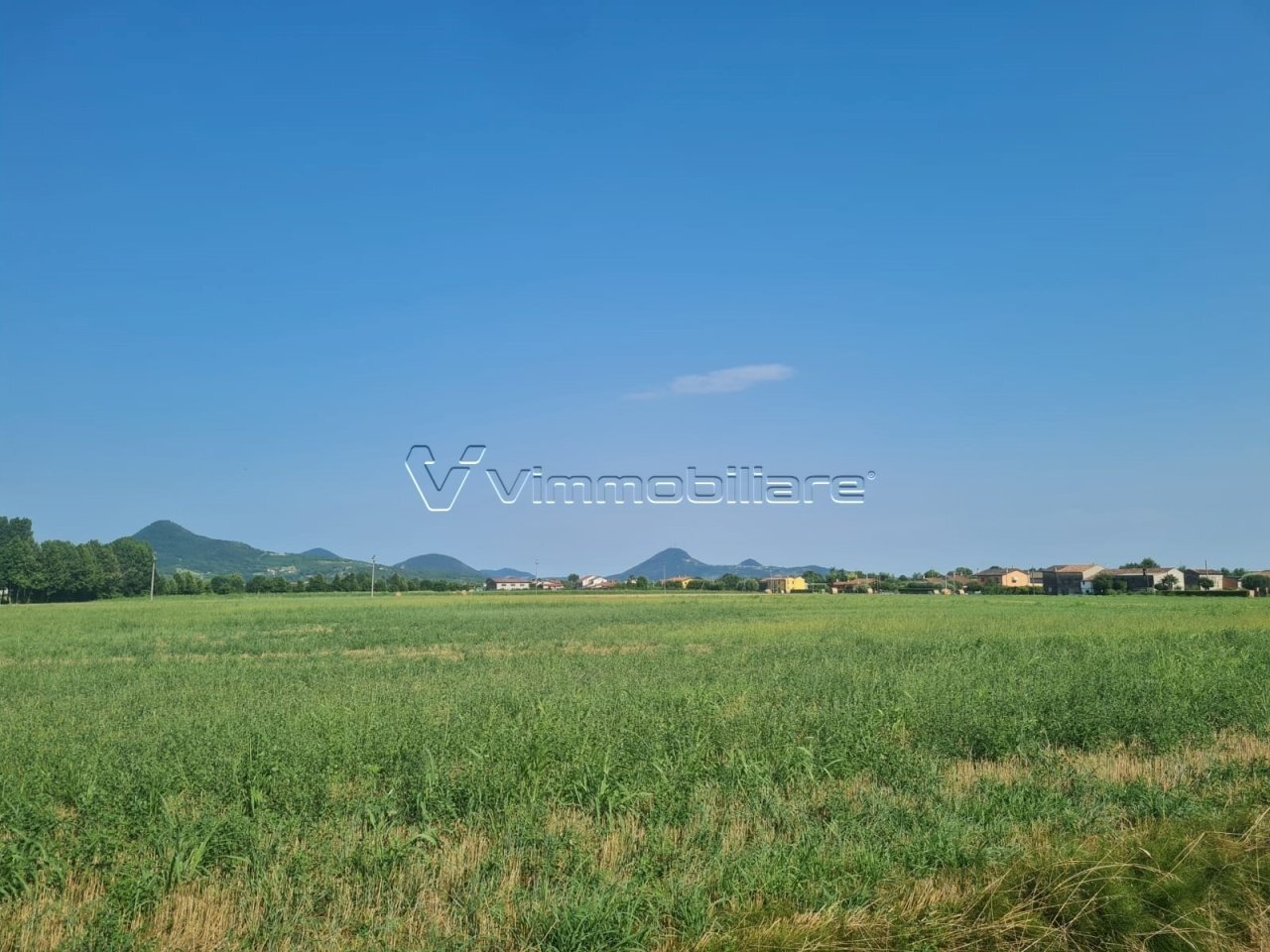 Terreno agricolo via saline, Noventa Vicentina - foto 3