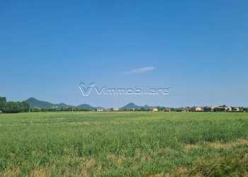 Terreno agricolo via saline, Noventa Vicentina - foto 3