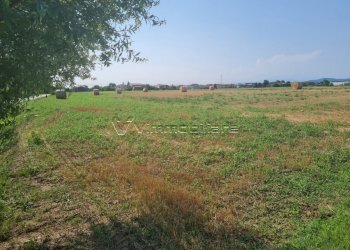 Terreno agricolo via saline, Noventa Vicentina - foto 4
