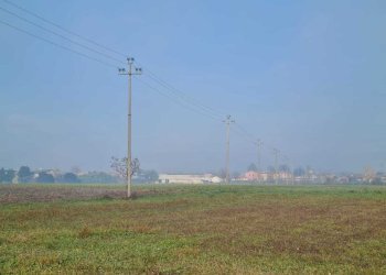 Terreno agricolo via saline, Noventa Vicentina - foto 8