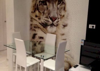 Bilocale Pinerolo - foto 1