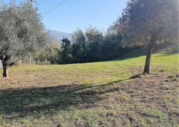 2.jpg - Magazzino via per Corte Ceccotti, Lucca - foto 2