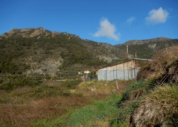 DSCN8609.JPG - Rustico Via Reccio 33, Casarza Ligure - foto 7