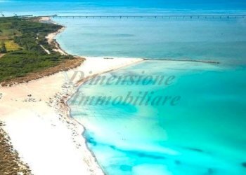 VADA - CASA MIA - 2023.jpg - Appartamento Via Imma Bandiera, Rosignano Marittimo - foto 1