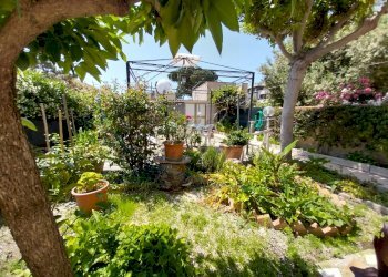 Giardino 1.jpg - Appartamento Via Imma Bandiera, Rosignano Marittimo - foto 2