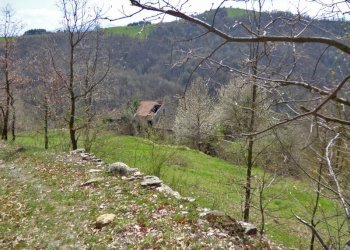 Casale Marsaglia - foto 2