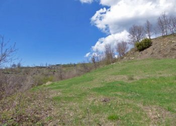 Casale Marsaglia - foto 6