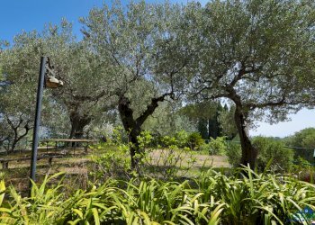 7P6A9701.jpg - Villa Via Livio Canale 72, Varazze - foto 4