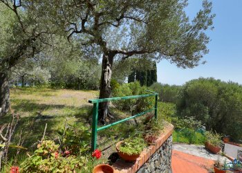 7P6A9702.jpg - Villa Via Livio Canale 72, Varazze - foto 5