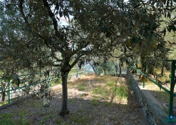 7P6A9717.jpg - Villa Via Livio Canale 72, Varazze - foto 10