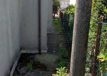 2.jpg - Terratetto - Terracielo Piazza IV Novembre 18, Martellago - foto 3