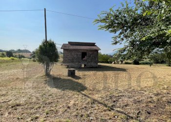 Rustico Contrada Melfi di Sopra, Pontecorvo - foto 6