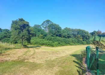 terreno - Terreno agricolo Varese - foto 2