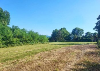 terreno - Terreno agricolo Varese - foto 5