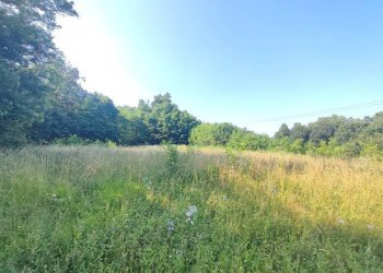 terreno - Terreno agricolo Varese - foto 6