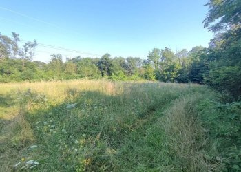 terreno - Terreno agricolo Varese - foto 7