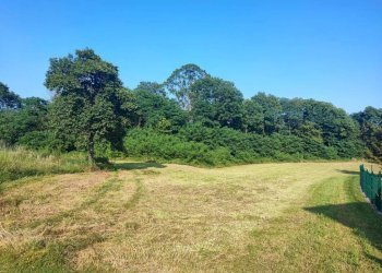 terreno - Terreno agricolo Varese - foto 9