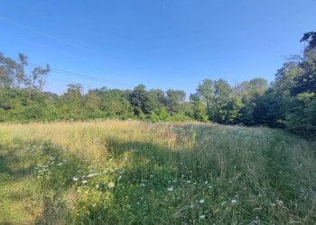 terreno - Terreno agricolo Varese - foto 16