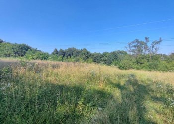 terreno - Terreno agricolo Varese - foto 18