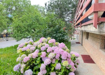 359186947_667389058736176_6687834998567643374_n_ed - Appartamento Via Tetti Elia, Roburent - foto 16