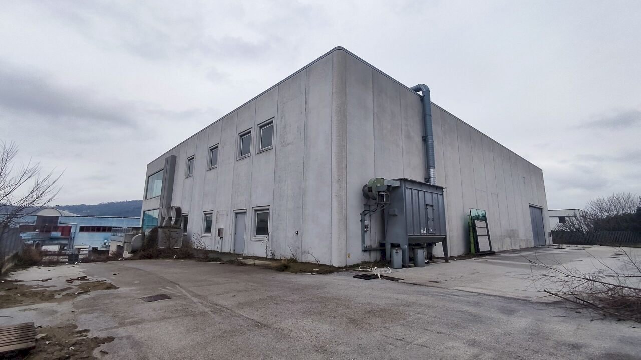 IMG_20240111_105156.jpg - Capannone via del Commercio 7, Castelplanio - foto 2