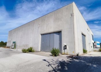 IMG_20250804_163916.jpg - Capannone via del Commercio 7, Castelplanio - foto 1