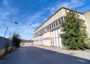 4366333 FOTO 11.jpg - Capannone via dell'industria 5-7, Castelplanio - foto 3