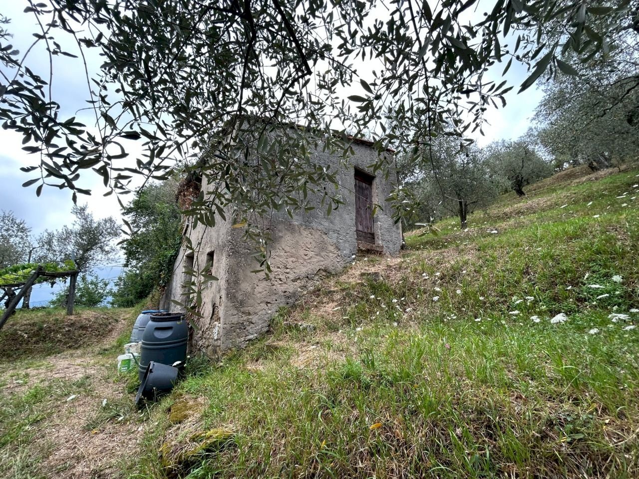 WhatsApp Image 2023-08-04 at 09.27.36 (3).jpeg - Agricultural land Arcola - photo 2