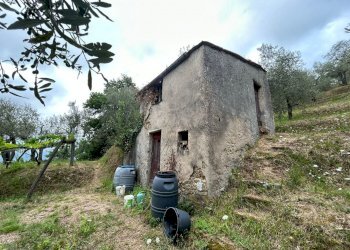 WhatsApp Image 2023-08-04 at 09.27.36 (4).jpeg - Terreno agricolo Arcola - foto 1