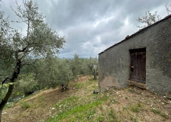 WhatsApp Image 2023-08-04 at 09.27.36.jpeg - Terreno agricolo Arcola - foto 23