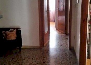 Non-buildable land Ferrara - photo 9