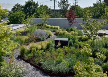 Apartment Via Corsica, San Benedetto del Tronto - photo 20