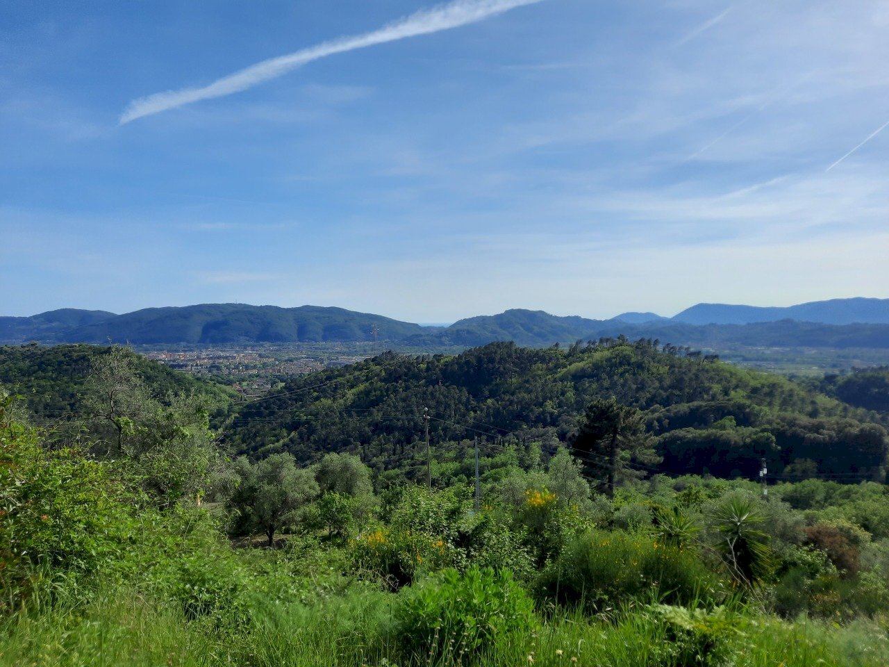 2.jpg - Villa Sarzana - photo 1