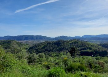 2.jpg - Villa Sarzana - foto 1