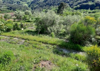 15.jpg - Villa Sarzana - foto 13