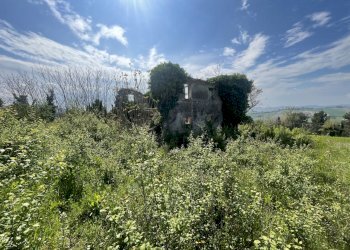 DEE22F01-F479-417D-BFA9-7DC46DB87643.jpeg - Casale Frazione Poggio, Ancona - photo 3