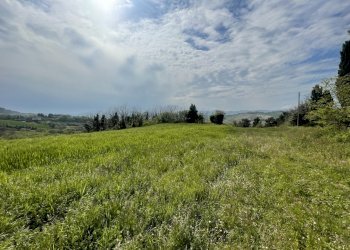 6DECB14C-2131-4378-9AE1-B8962F5F0214.jpeg - Casale Frazione Poggio, Ancona - photo 8