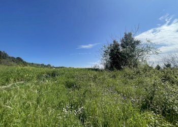 1DA630AB-32B3-4D81-997E-8E73A4730548.jpeg - Casale Frazione Poggio, Ancona - photo 9