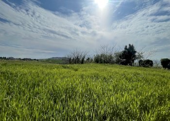 6B9DD72B-4A11-44D8-A725-DE2A21C9997E.jpeg - Casale Frazione Poggio, Ancona - photo 12
