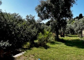 1 - Quadrilocale via Monte Fasce, Genova - foto 33