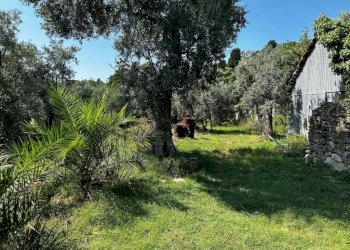 1 - Quadrilocale via Monte Fasce, Genova - foto 2
