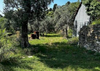 1 - Quadrilocale via Monte Fasce, Genova - foto 6