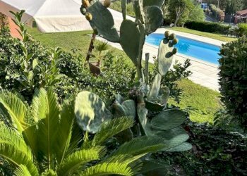 Piscina - Villa via Padre Semeria, 239, Sanremo - foto 19